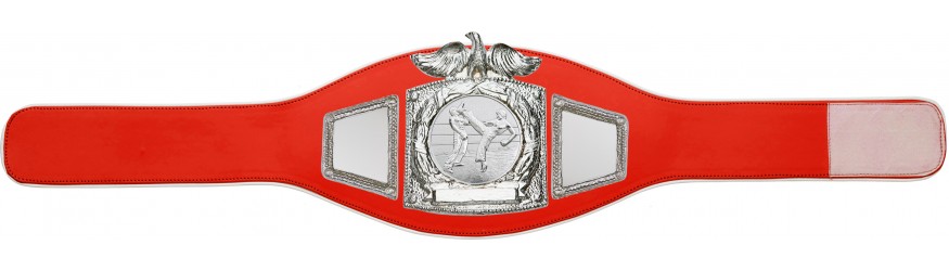 PROEAGLE KICKBOXING CHAMPIONSHIP BELT - PROEAGLE/S/KBOS - AVAILABLE IN 6+ COLOURS